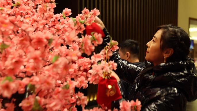 女性往假桃花树上挂福袋