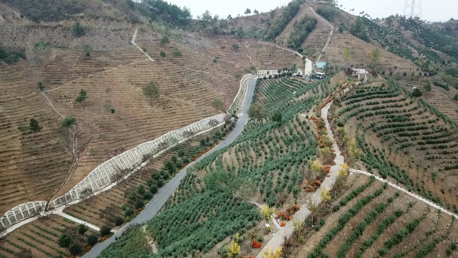 西安乡村道路航拍