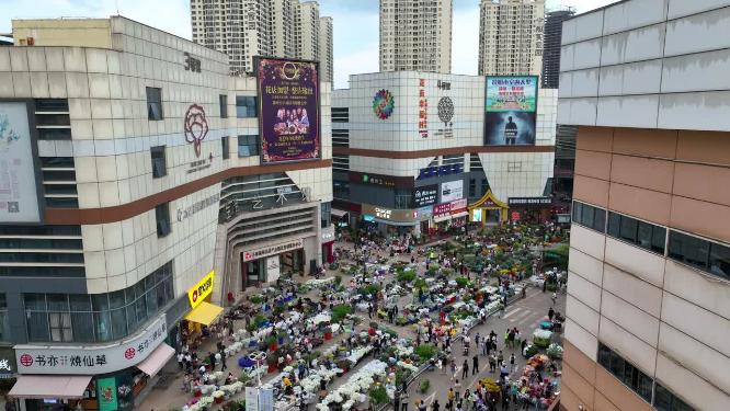 昆明斗南花市