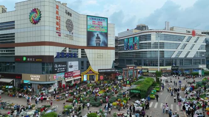 昆明斗南花市