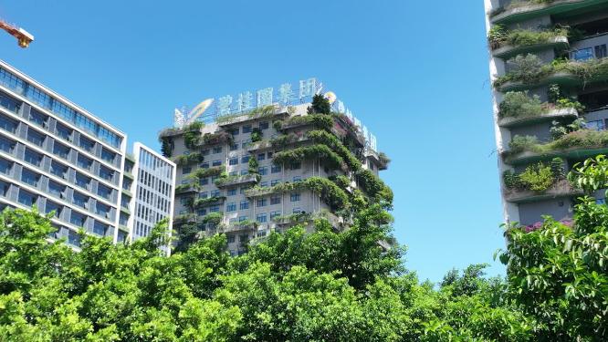 碧桂园总部大楼