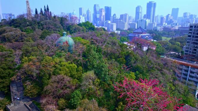 航拍广州地标历史建筑中山纪念堂