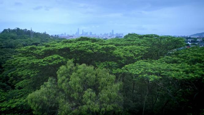 航拍广州中国科学院华南植物园热带温室