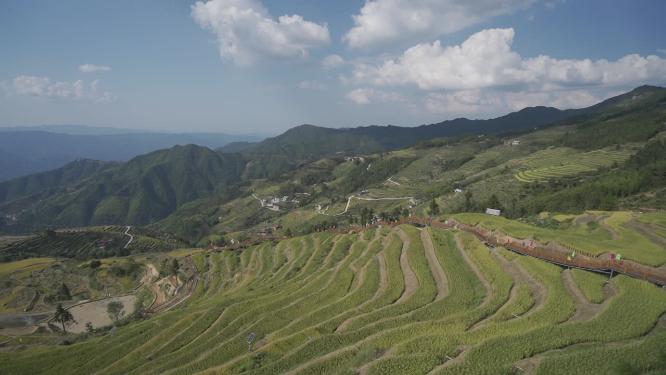蓝天白云梯田风景
