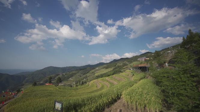 蓝天白云梯田风景