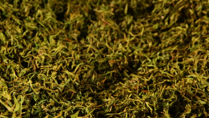 炒茶特写素材