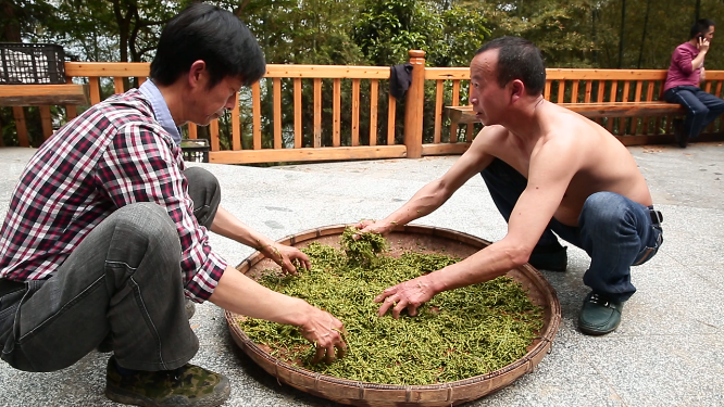 晒茶特写素材