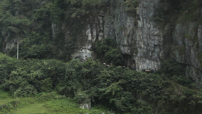 茶马古道穿岩山素材