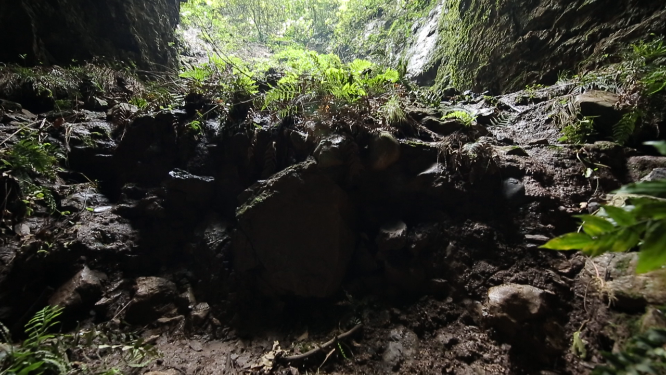 神秘山洞入口