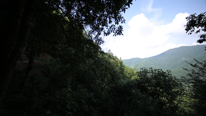 溆浦国家森林公园山顶蓝天
