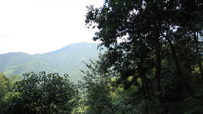 溆浦国家森林公园山顶蓝天