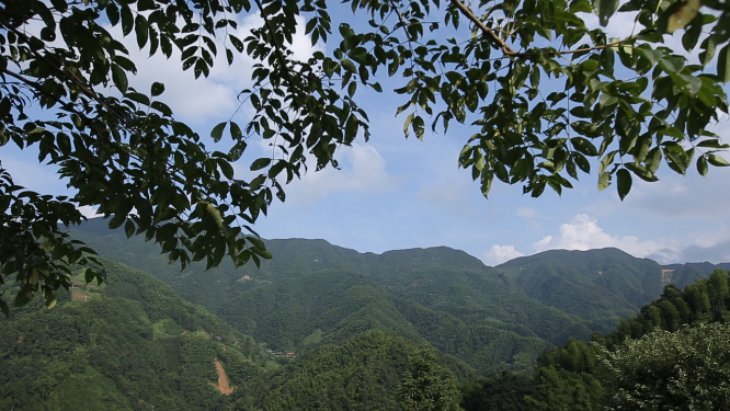 溆浦国家森林公园山顶蓝天