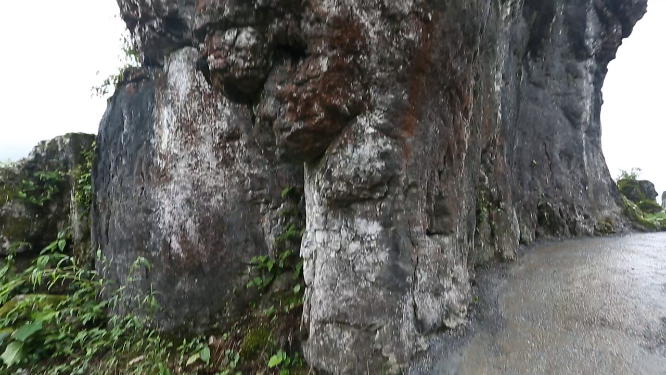 黄岩石林花海空镜自然风光素材