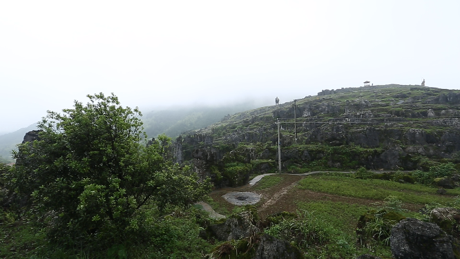 黄岩石林花海空镜自然风光素材