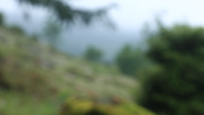 黄岩石林花海空镜自然风光素材