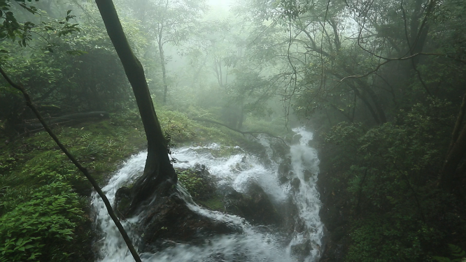 森林山间激流自然风光素材