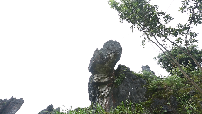 黄岩石林花海空镜自然风光素材