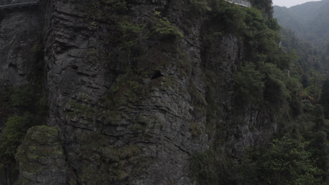 雪峰山森林公园