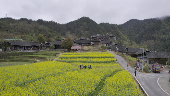 花田航拍自然风光素材