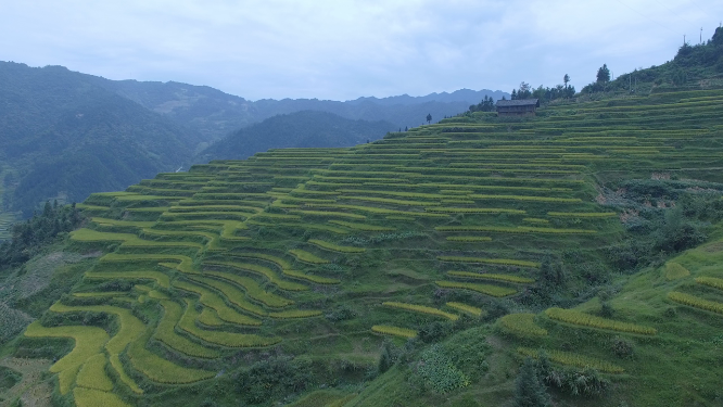 花瑶景区绝美梯田航拍素材
