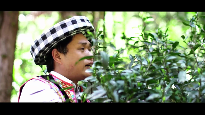 唱山歌 摘茶叶