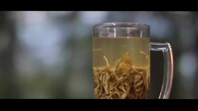 泡茶