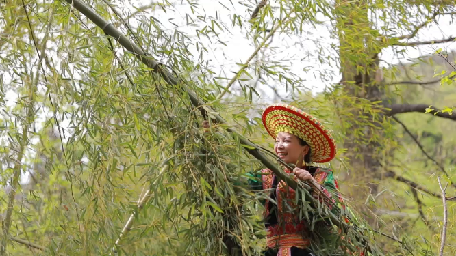 少数民族女生游戏荡竹竿打竹千 