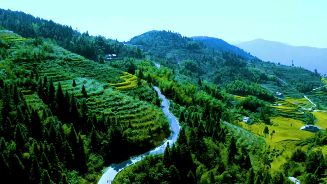 梯田茶山航拍