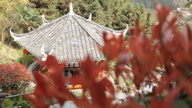 穿岩山路边花草空镜素材