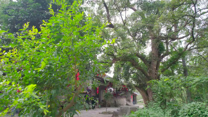 荆坪传统建筑航拍