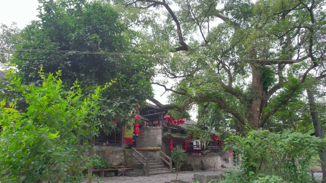 荆坪传统建筑航拍