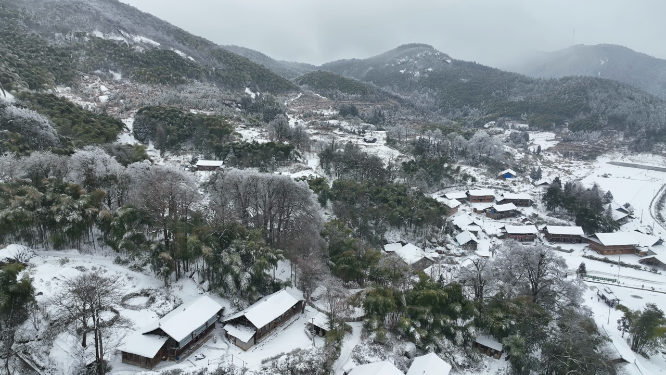 虎形山冬季森林树木航拍