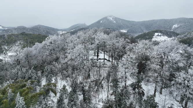 虎形山冬季森林树木航拍