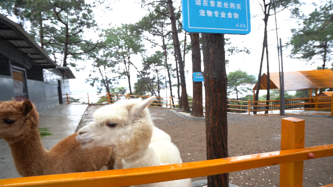 郴州汝城