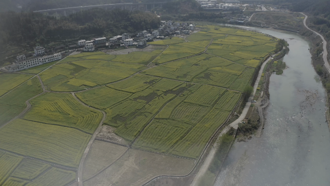 绿色农田航拍空镜素材