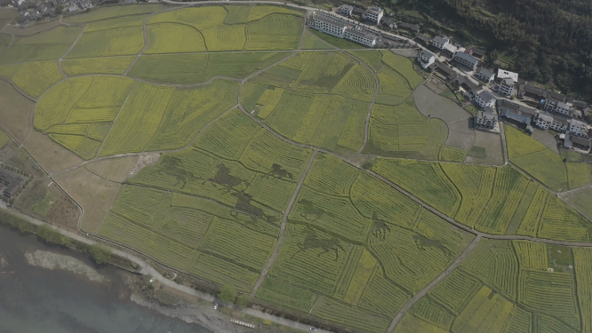 绿色农田航拍空镜素材