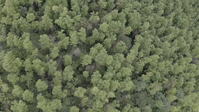 雪峰山高山台航拍素材