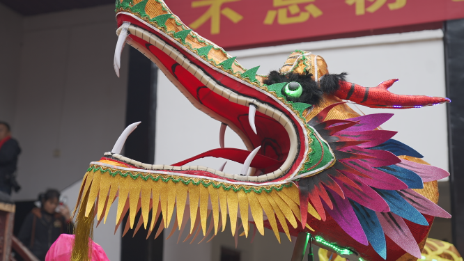 龙潭宗祠表演龙头空镜