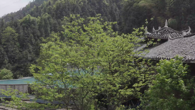 枫香瑶寨泳池航拍