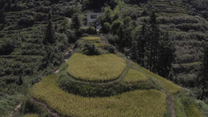 穿岩山田野稻谷远景航拍