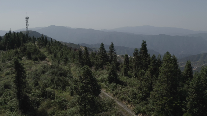 绿林山谷航拍