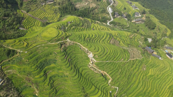 山林梯田航拍