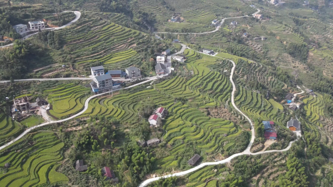 山谷梯田航拍