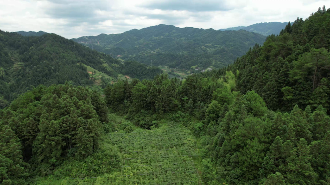 山川河流绿林航拍