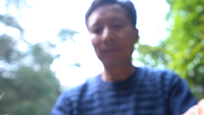 穿岩山国家森林公园天目茶制茶-晾晒工序