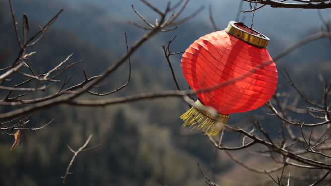 雁鹅界树枝红灯笼特写素材