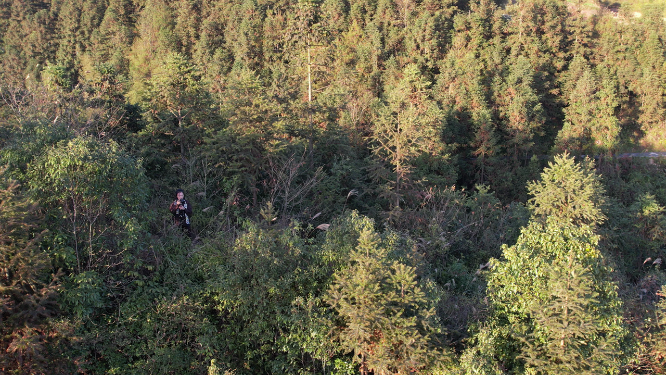 穿岩山国家森林公园雁鹅界山川树林航拍