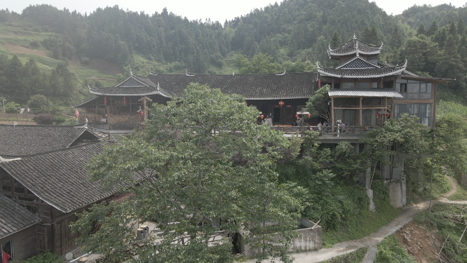 雁鹅界树林建筑群航拍