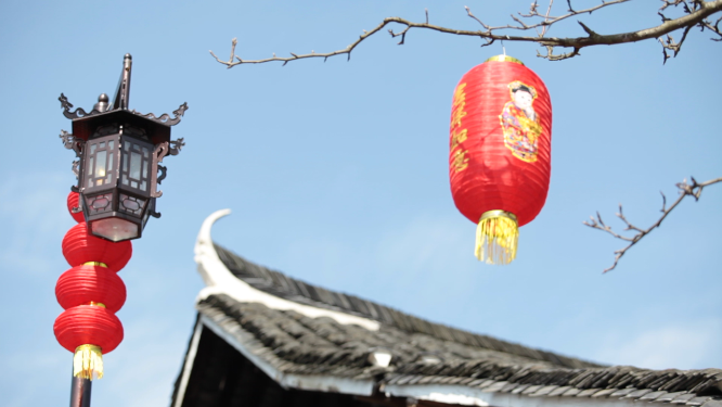 雁鹅界树枝红灯笼特写素材