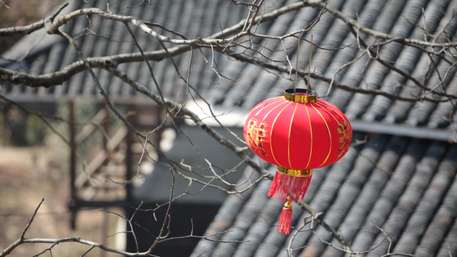 雁鹅界树枝红灯笼特写素材